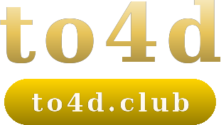 to4d logo